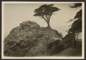[Landschaft mit einsamer Zypresse] von Louis Fleckenstein