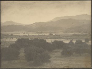Landschaft mit niedrigen Bäumen