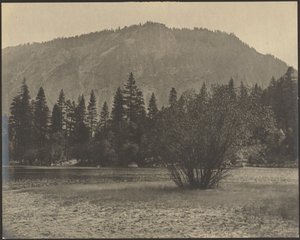 Landschaft mit Felsklippen von Louis Fleckenstein