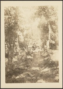 Landschaft mit Wildhirschen von Louis Fleckenstein