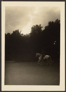 Mann zu Pferd mit dunklen Bäumen und hellem Himmel von Louis Fleckenstein