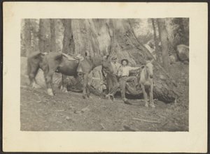 Männer und Packpferde in Waldlichtung von Louis Fleckenstein