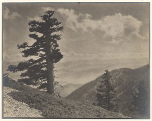 Auf dem Grat zu Old Baldy