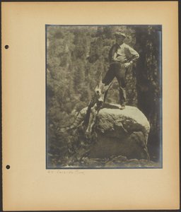 Auf dem Selbstmordfelsen von Louis Fleckenstein