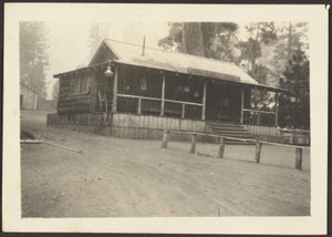 Pine Knot Store