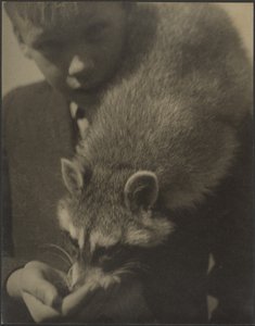 Porträt eines Jungen, der einen Waschbären füttert von Louis Fleckenstein