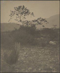 Felsige Landschaft von Louis Fleckenstein