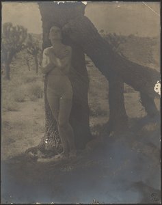 Geist des Joshua von Louis Fleckenstein