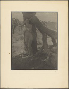 Geist des Joshua von Louis Fleckenstein