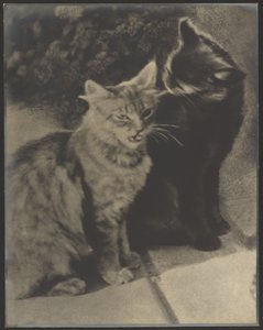 Die Ständchenbringer von Louis Fleckenstein