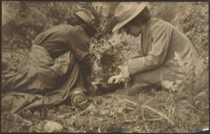 [Zwei Frauen, die in einem Garten arbeiten] von Louis Fleckenstein
