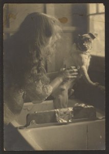 [Frau wäscht einen Hund im Spülbecken] von Louis Fleckenstein