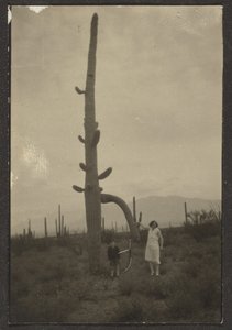 Frau und Kind mit Kaktus von Louis Fleckenstein