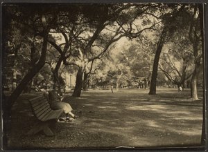 [Frau in einem Park] von Louis Fleckenstein