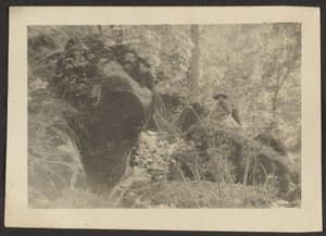 Frau auf Felsen im Wald