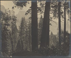 [Waldige Landschaft] von Louis Fleckenstein