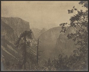 Yosemite-Landschaft