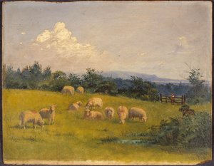 Landschaft in der Nähe von Swansea