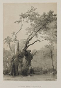 Ägypten und Nubien, Band III: Der heilige Baum von Metereah von Louis Haghe