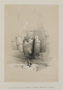 Ägypten und Nubien, Band II: Teil der Säulenhalle in Karnak, Theben