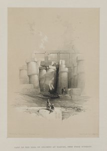 Ägypten und Nubien, Band II: Teil der Säulenhalle in Karnak, Theben, 1847