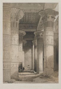 Ägypten und Nubien, Band I: Ansicht unter dem großen Portikus des Tempels, Philae, 1846