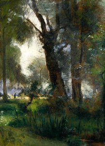 Der Rand der Karlsaue, Kassel von Louis Kolitz