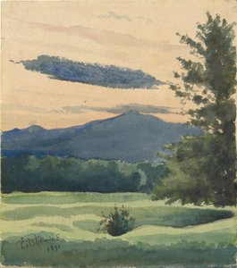Grüne Wiese von Louis Michel Eilshemius