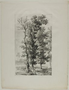 Studie von Bäumen von Louis Pierre Baltard
