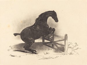 Pferd springt über eine Barriere von Louis Pierre Marie Courtin after Théodore Gericault