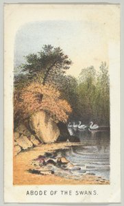 Wohnsitz der Schwäne, aus der Serie Ansichten im Central Park, New York, Teil 2, 1864