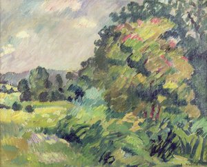 Normandie-Landschaft