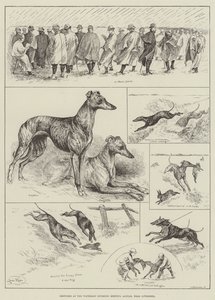 Skizzen beim Waterloo Coursing Meeting, Altcar, in der Nähe von Liverpool von Louis Wain