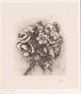 Blumenstillleben mit Mohnblumen und Anemonen von Louise Elsen