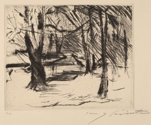 Bäume mit Sonne von Lovis Corinth