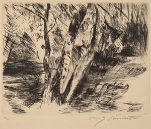 Birkenstämme im Tiergarten von Lovis Corinth