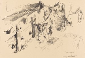 Kälber von Lovis Corinth