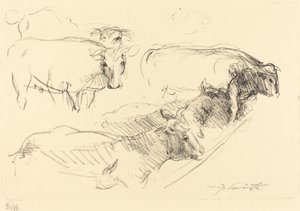 Kühe von Lovis Corinth