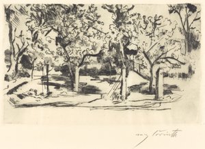 Obstgarten von Lovis Corinth