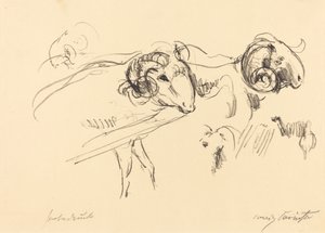Schafböcke, 1912 von Lovis Corinth