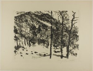 Das Tal, aus Früher Frühling in den Bergen von Lovis Corinth