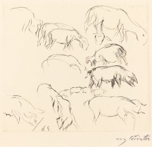 Verschiedene Tierstudien, 1917 von Lovis Corinth