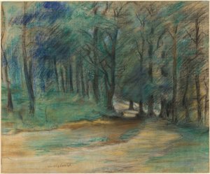 Waldweg
