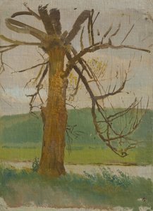 Baum am Fluss