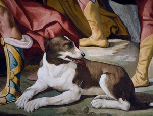 Hund, Detail des Freskos aus dem Zyklus der Geschichten von Antenor