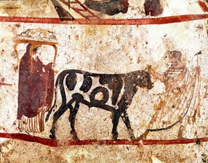 Ein Stier wird zum Altar des Opfers geführt. Lukanisches Fresko aus dem 4. Jahrhundert v. Chr., aus der Nekropole von Andriuolo in Paestum, Italien