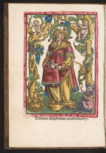 Hl. Stephanus von Lucas Cranach