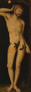 Adam, 1528 von Lucas Cranach the Elder