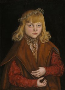 Ein Prinz von Sachsen, ca. 1517