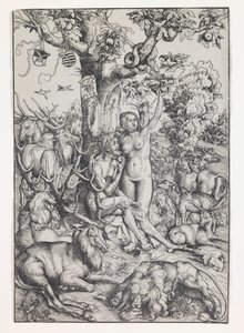 Adam und Eva im Paradies von Lucas Cranach the Elder